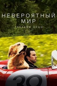     (2019)
