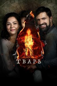  (2019)