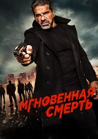   (2017)