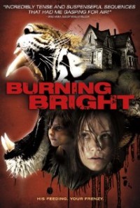 Во власти тигра (2010) смотреть онлайн